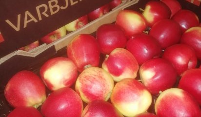 Danske Varbjergg�rd �bler