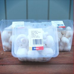 Champignon, hvid, bakke, 250gr