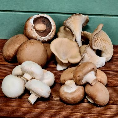 Champignon og svampe