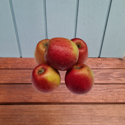 bler, Royal Gala, stk