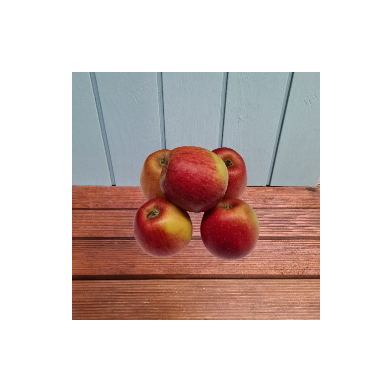 bler, Royal Gala, stk