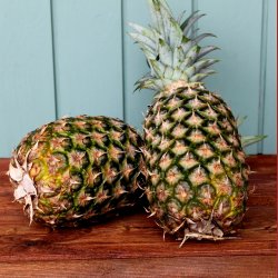 Ananas, stor, stk
