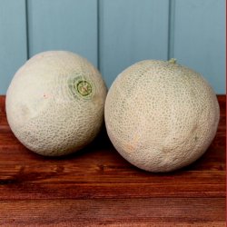 Melon, Cantaloup, stk
