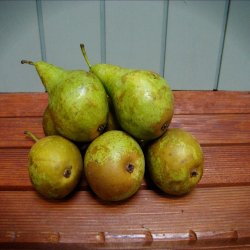 Prer, DK, Conference