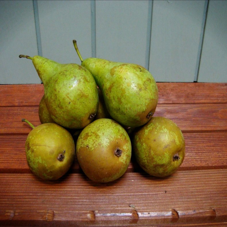 Prer, DK, Conference