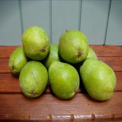 Prer, Lukas, DK, stk