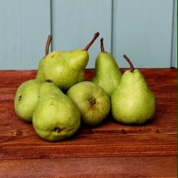 P�rer, Packhams, stk