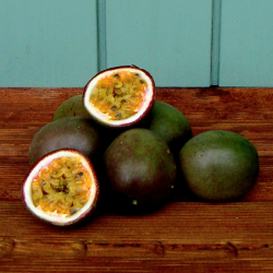 Passionsfrugt, stk