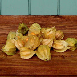 Ananaskirsebr, 100gr