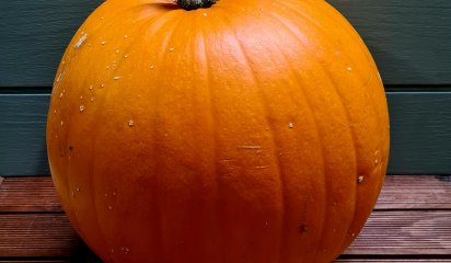 Halloween gr�skar, Danske