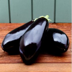 Aubergine, stk