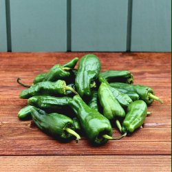 Chili peber, Padron, grn, 70gr
