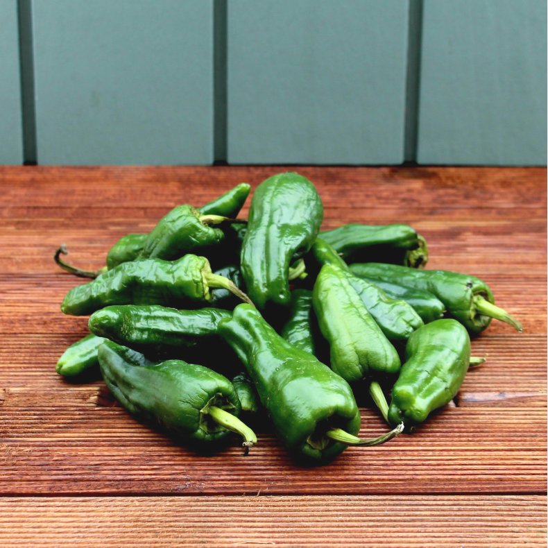 Chili peber, Padron, grn, 70gr