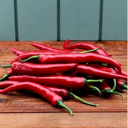Chili peber, rd, 70gr