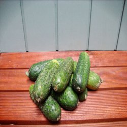 Drueagurker, mellem, 1 kg