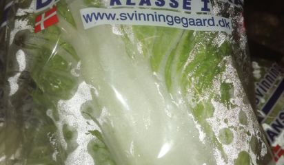 Danske kinakl, Svinningegrd