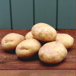 Bage kartoffel, pommes Frits, Maris Piper , stk