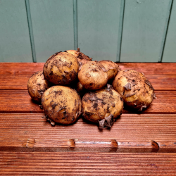Kartofler, nye, DK, 500gr