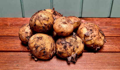 Nye Danske kartofler