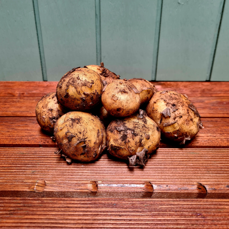 Kartofler, nye, DK, 500gr