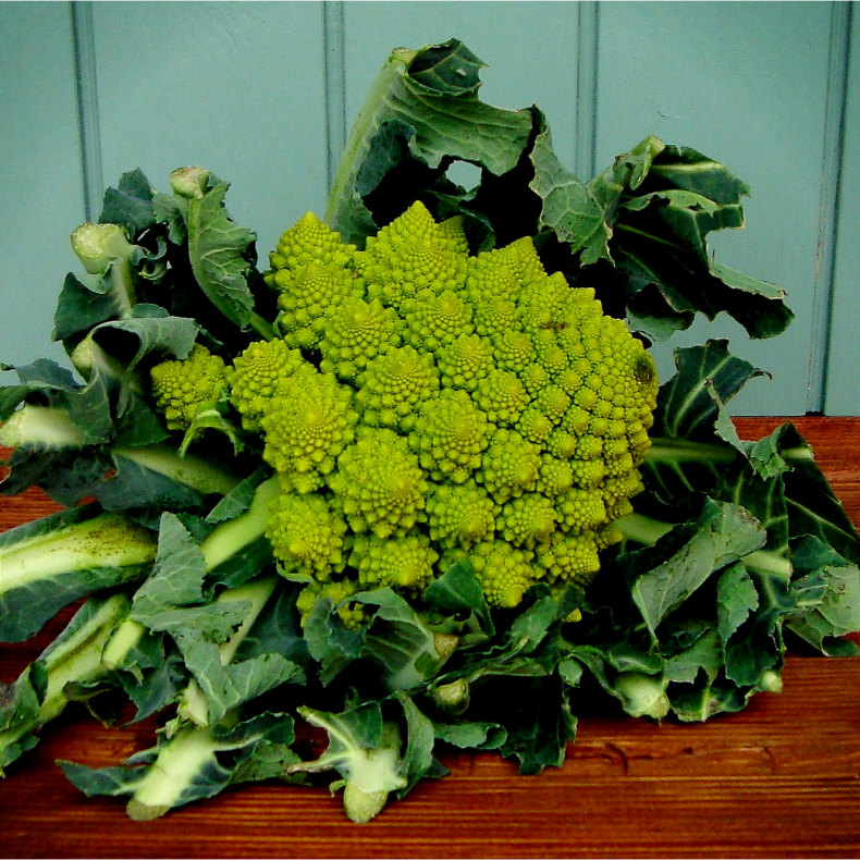 Blomkl, romanesco, stk