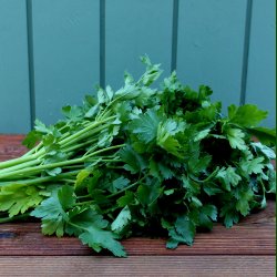 Persille, bredbladet, bdt