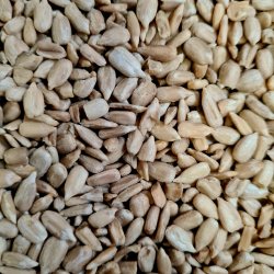 Solsikkekerner, 1kg (kan ogs kbes p Nddekurven.dk)