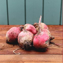 Stribet beder, DK, 500gr