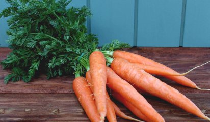 Nye Danske gulerdder m/top