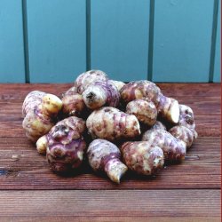 KO jordskokker, 500 gr