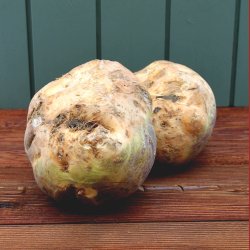 Klrabi, stk (kan ogs kbes p Nddekurven.dk)