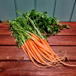 Gulerdder, mini m.top, 200gr