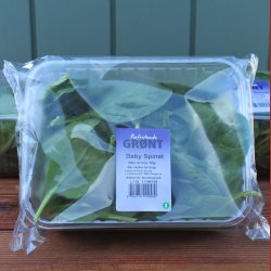 Babyspinat ,100gr