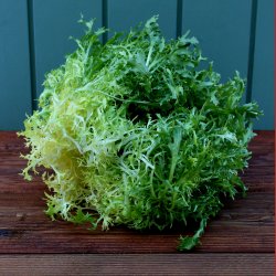 Frisee salat, gul, stk