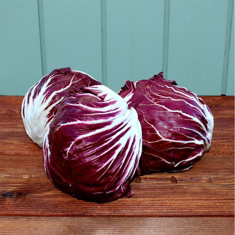 Radicchioe salat, stk