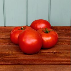 Tomat, stor bf