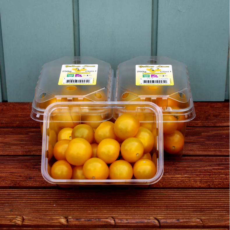 Cherry tomat, gul, 250gr