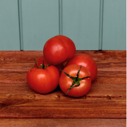 Tomater, rund, stk