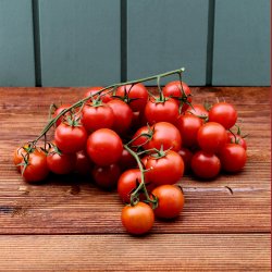 Cherrytomater p stilk, 500gr