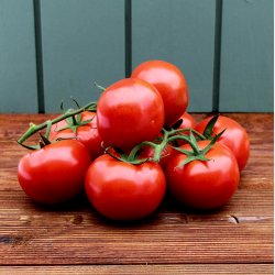 Tomater, stilk, 1 kg