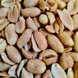 Peanuts, ristede og saltede, 1kg