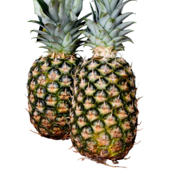 Ananas, stor, stk