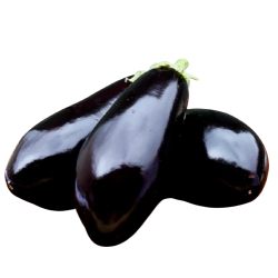 Aubergine, stk