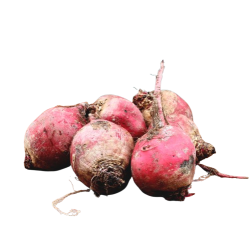 Stribet beder, DK, 500gr