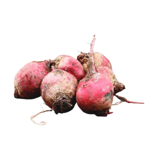 Stribet beder, DK, 500gr