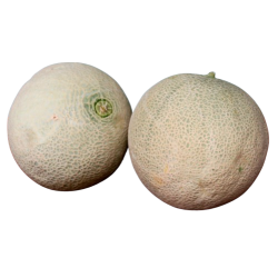 Melon, Cantaloup, stk