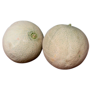 Melon, Cantaloup, stk