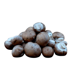 Brun champignon, 250gr
