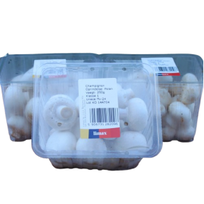 Champignon, hvid, bakke, 250gr