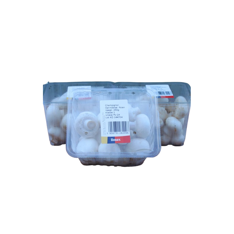 Champignon, hvid, bakke, 250gr